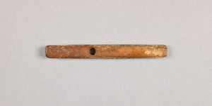 NA9686.1