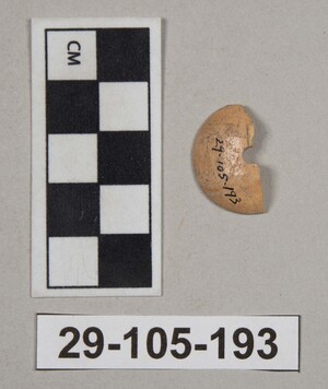29-105-193