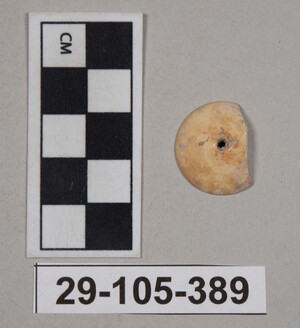 29-105-389
