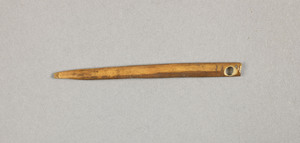NA9689.1