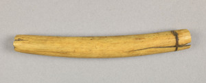 NA9905.1