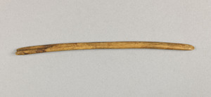 NA10055.1
