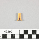 1006581