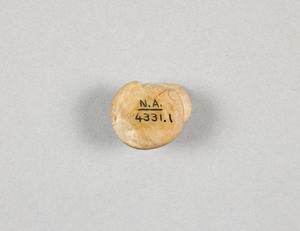 NA4331.1