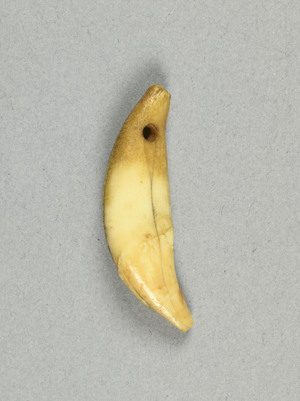 NA7195.1