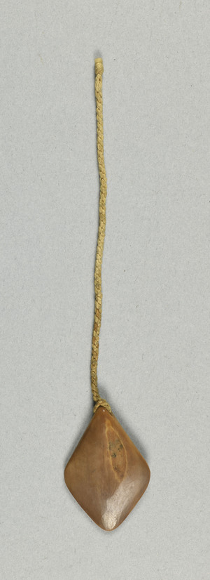 NA10732