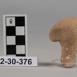 1007427