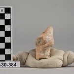 1007461
