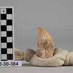 1007464