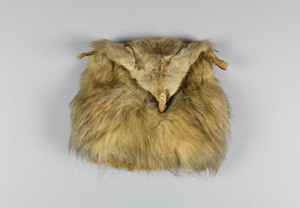 NA4845