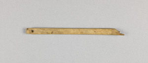 NA10433.1