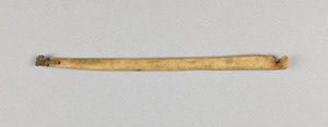 NA10433.2