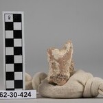1007898
