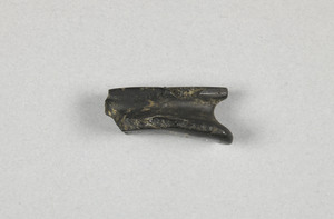 NA4333.1