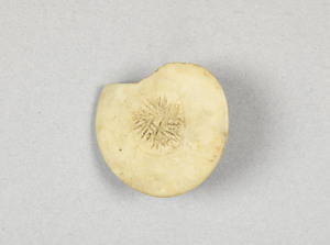 NA9972