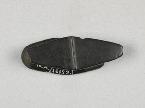 NA10152.1