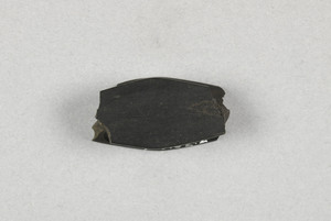NA10152.2