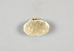 NA10156