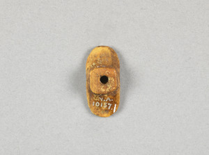 NA10157.1