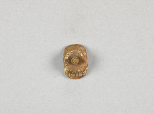 NA10157.4