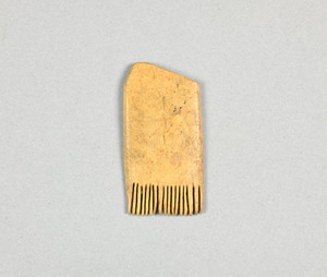NA10019