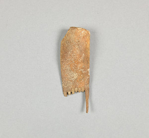 NA10027