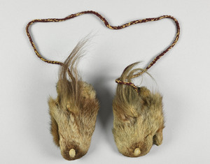 NA4831.1