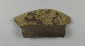 NA7446.1