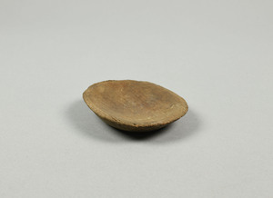 NA10229
