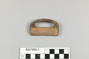 NA7489.1