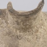 1015123