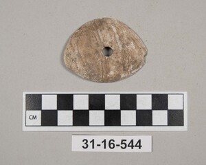 31-16-544