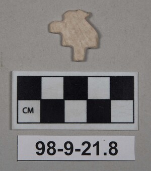 98-9-21.8