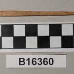1015704