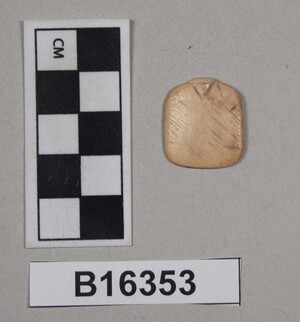 B16353
