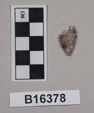 B16378