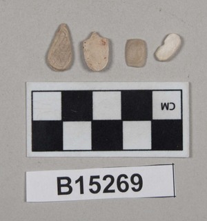 B15269