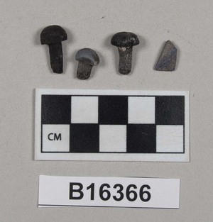 B16366