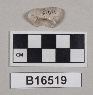 B16519