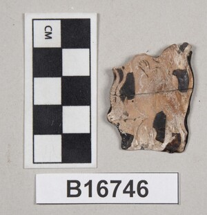 B16746