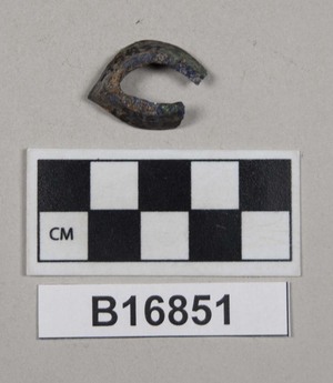 B16851