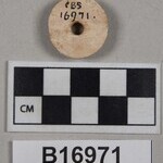 1015800