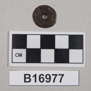 B16977