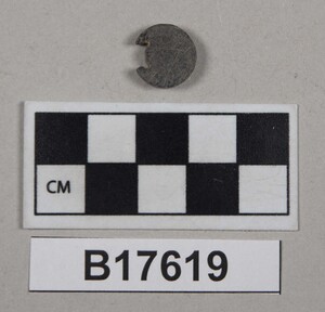 B17619
