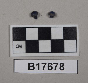 B17678