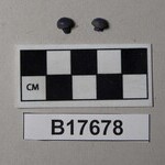 1015819