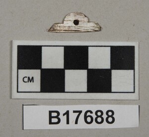 B17688