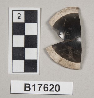 B17620