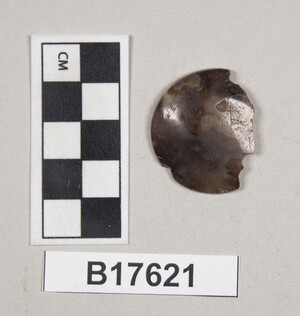 B17621
