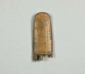NA10008.1